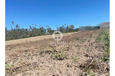 Helårsgrund i Barcelos, Braga, Barcelos - € 165.000 | Ref: 240-T-25078 - foto 2