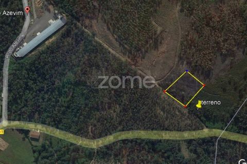 Helårsgrund i Vila Verde, Braga, Vila Verde - € 8.000 | Ref: ZMPT553077 - foto 2