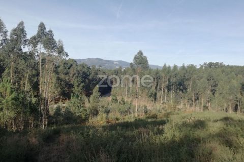 Helårsgrund i Vila Verde, Braga, Vila Verde - € 8.000 | Ref: ZMPT553077 - foto 4