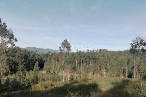 Helårsgrund i Vila Verde, Braga, Vila Verde - € 8.000 | Ref: ZMPT553077 - foto 5