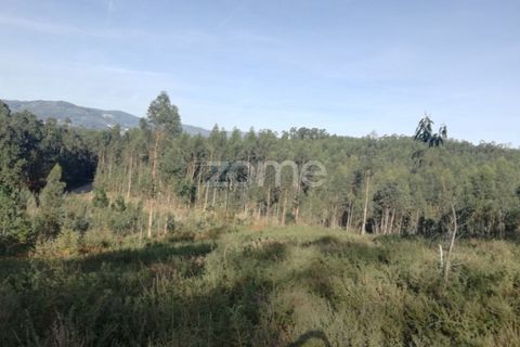 Helårsgrund i Vila Verde, Braga, Vila Verde - € 8.000 | Ref: ZMPT553077 - foto 7