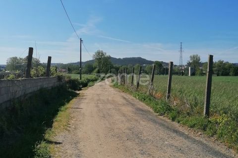 Helårsgrund i Braga, Braga, Braga - € 40.000 | Ref: ZMPT566345 - foto 6