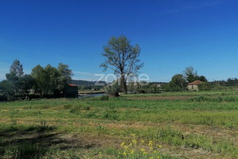 Helårsgrund i Braga, Braga, Braga - € 40.000 | Ref: ZMPT566345 - foto 8