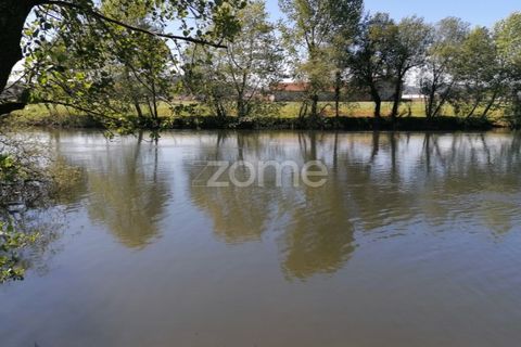 Helårsgrund i Braga, Braga, Braga - € 40.000 | Ref: ZMPT566345 - foto 11