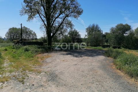 Helårsgrund i Braga, Braga, Braga - € 40.000 | Ref: ZMPT566345 - foto 12