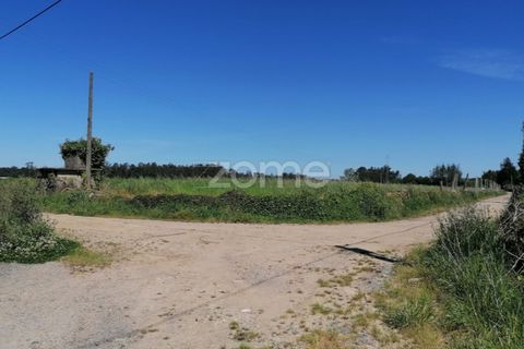 Helårsgrund i Braga, Braga, Braga - € 40.000 | Ref: ZMPT566345 - foto 13