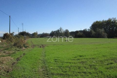 Helårsgrund i Braga, Braga, Braga - € 40.000 | Ref: ZMPT566345 - foto 14