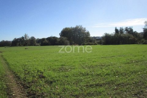 Helårsgrund i Braga, Braga, Braga - € 40.000 | Ref: ZMPT566345 - foto 15