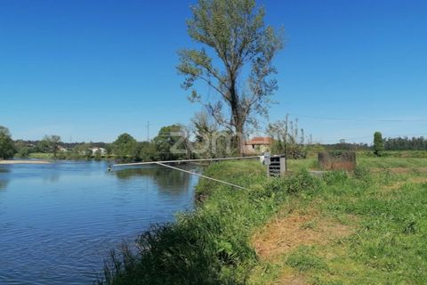 Helårsgrund i Braga, Braga, Braga - € 40.000 | Ref: ZMPT566345 - foto 2