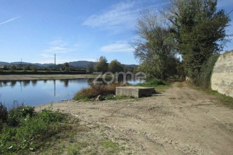 Helårsgrund i Braga, Braga, Braga - € 40.000 | Ref: ZMPT566345 - foto 3