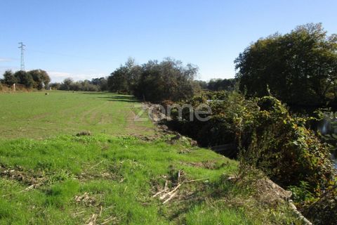Helårsgrund i Braga, Braga, Braga - € 40.000 | Ref: ZMPT566345 - foto 1