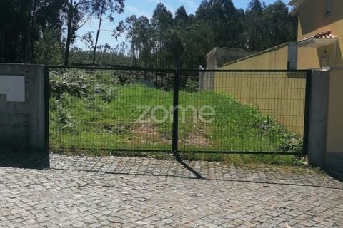 Helårsgrund i Braga, Braga, Braga - € 65.000 | Ref: ZMPT566378 - foto 4