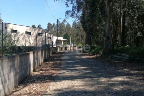 Helårsgrund i Braga, Braga, Braga - € 65.000 | Ref: ZMPT566378 - foto 6