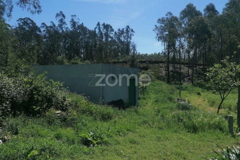 Helårsgrund i Braga, Braga, Braga - € 65.000 | Ref: ZMPT566378 - foto 7