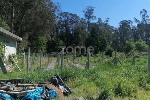 Helårsgrund i Braga, Braga, Braga - € 65.000 | Ref: ZMPT566378 - foto 9