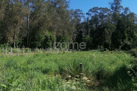 Helårsgrund i Braga, Braga, Braga - € 65.000 | Ref: ZMPT566378 - foto 10