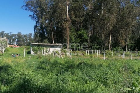 Helårsgrund i Braga, Braga, Braga - € 65.000 | Ref: ZMPT566378 - foto 11