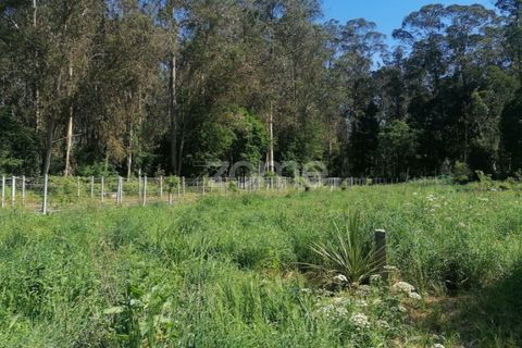 Helårsgrund i Braga, Braga, Braga - € 65.000 | Ref: ZMPT566378 - foto 12