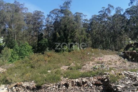 Helårsgrund i Braga, Braga, Braga - € 65.000 | Ref: ZMPT566378 - foto 13