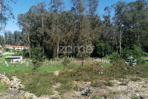 Helårsgrund i Braga, Braga, Braga - € 65.000 | Ref: ZMPT566378 - foto 14