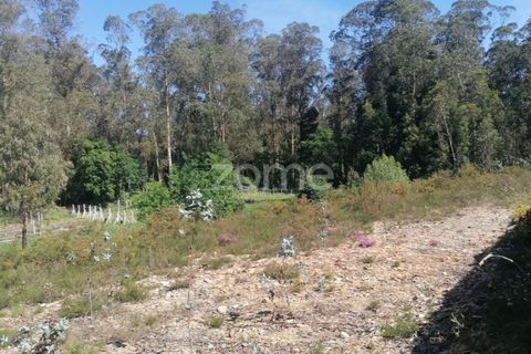 Helårsgrund i Braga, Braga, Braga - € 65.000 | Ref: ZMPT566378 - foto 15