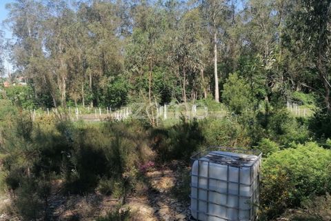 Helårsgrund i Braga, Braga, Braga - € 65.000 | Ref: ZMPT566378 - foto 16