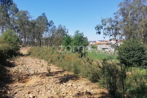 Helårsgrund i Braga, Braga, Braga - € 65.000 | Ref: ZMPT566378 - foto 17