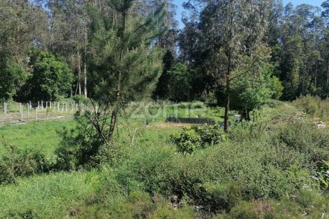 Helårsgrund i Braga, Braga, Braga - € 65.000 | Ref: ZMPT566378 - foto 18