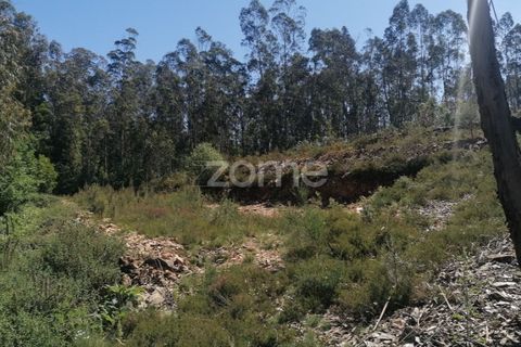 Helårsgrund i Braga, Braga, Braga - € 65.000 | Ref: ZMPT566378 - foto 19