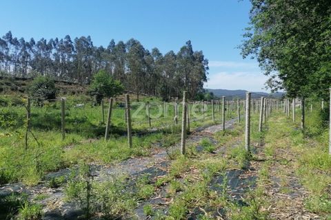 Helårsgrund i Braga, Braga, Braga - € 65.000 | Ref: ZMPT566378 - foto 21