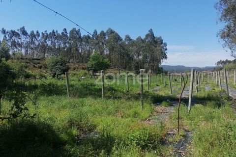 Helårsgrund i Braga, Braga, Braga - € 65.000 | Ref: ZMPT566378 - foto 22