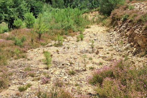Helårsgrund i Braga, Braga, Braga - € 65.000 | Ref: ZMPT566378 - foto 25