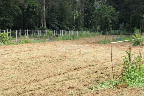 Helårsgrund i Braga, Braga, Braga - € 65.000 | Ref: ZMPT566378 - foto 2