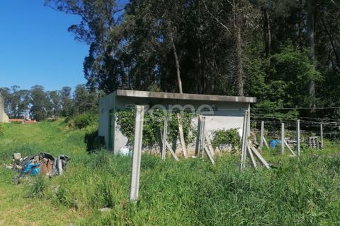 Helårsgrund i Braga, Braga, Braga - € 65.000 | Ref: ZMPT566378 - foto 8