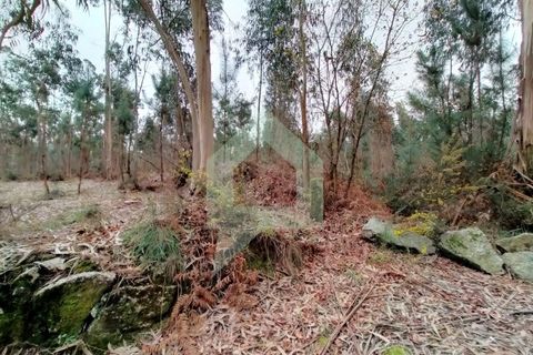Helårsgrund i Barcelos, Braga, Barcelos - € 95.000 | Ref: SÒL_2529 - foto 9