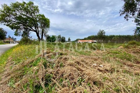 Helårsgrund i Agueda, Aveiro, Agueda - € 55.000 | Ref: 31/2024 - foto 1