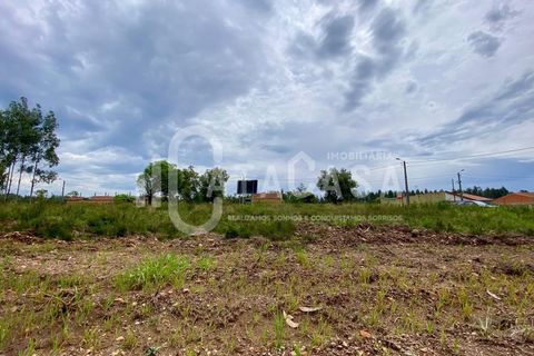 Helårsgrund i Agueda, Aveiro, Agueda - € 55.000 | Ref: 31/2024 - foto 2
