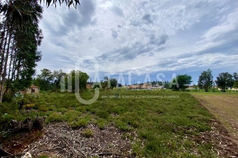 Helårsgrund i Agueda, Aveiro, Agueda - € 55.000 | Ref: 31/2024 - foto 5