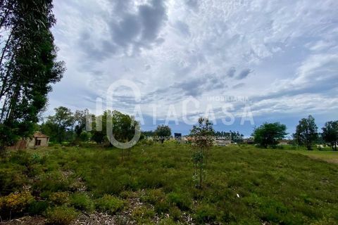 Helårsgrund i Agueda, Aveiro, Agueda - € 55.000 | Ref: 31/2024 - foto 6