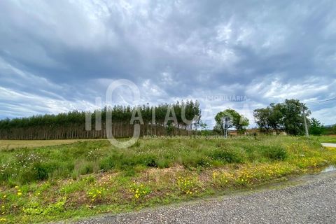 Helårsgrund i Agueda, Aveiro, Agueda - € 55.000 | Ref: 31/2024 - foto 7