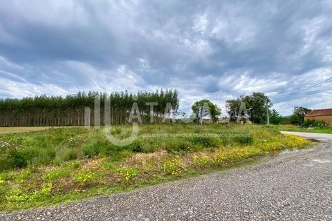 Helårsgrund i Agueda, Aveiro, Agueda - € 55.000 | Ref: 31/2024 - foto 8
