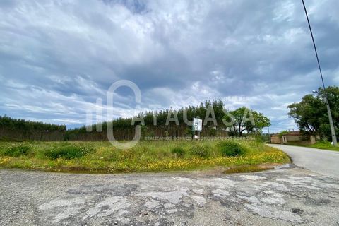 Helårsgrund i Agueda, Aveiro, Agueda - € 55.000 | Ref: 31/2024 - foto 9