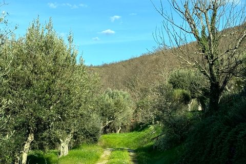 Villa i Cortona, Arezzo, Cortona - € 875.000 | Ref: v58982-x - foto 2