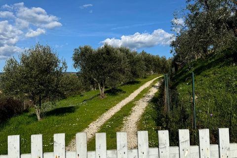 Villa i Cortona, Arezzo, Cortona - € 875.000 | Ref: v58982-x - foto 3