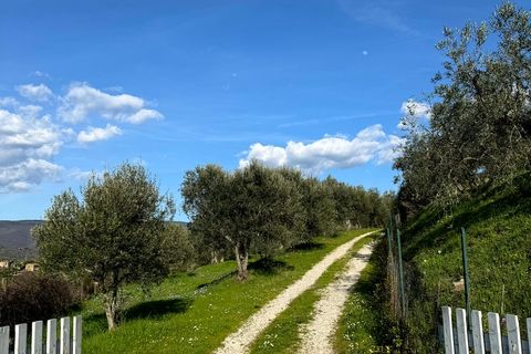 Villa i Cortona, Arezzo, Cortona - € 875.000 | Ref: v58982-x - foto 4