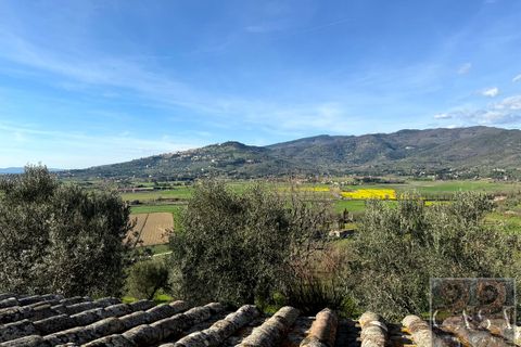 Villa i Cortona, Arezzo, Cortona - € 875.000 | Ref: v58982-x - foto 5
