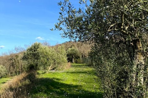 Villa i Cortona, Arezzo, Cortona - € 875.000 | Ref: v58982-x - foto 49
