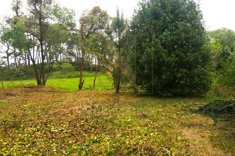 Helårsgrund i Buarcos, Coimbra, Buarcos - € 150.000 | Ref: NP3294 - foto 1