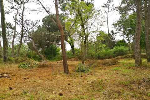 Helårsgrund i Buarcos, Coimbra, Buarcos - € 150.000 | Ref: NP3294 - foto 2