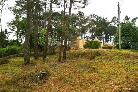 Helårsgrund i Buarcos, Coimbra, Buarcos - € 150.000 | Ref: NP3294 - foto 3